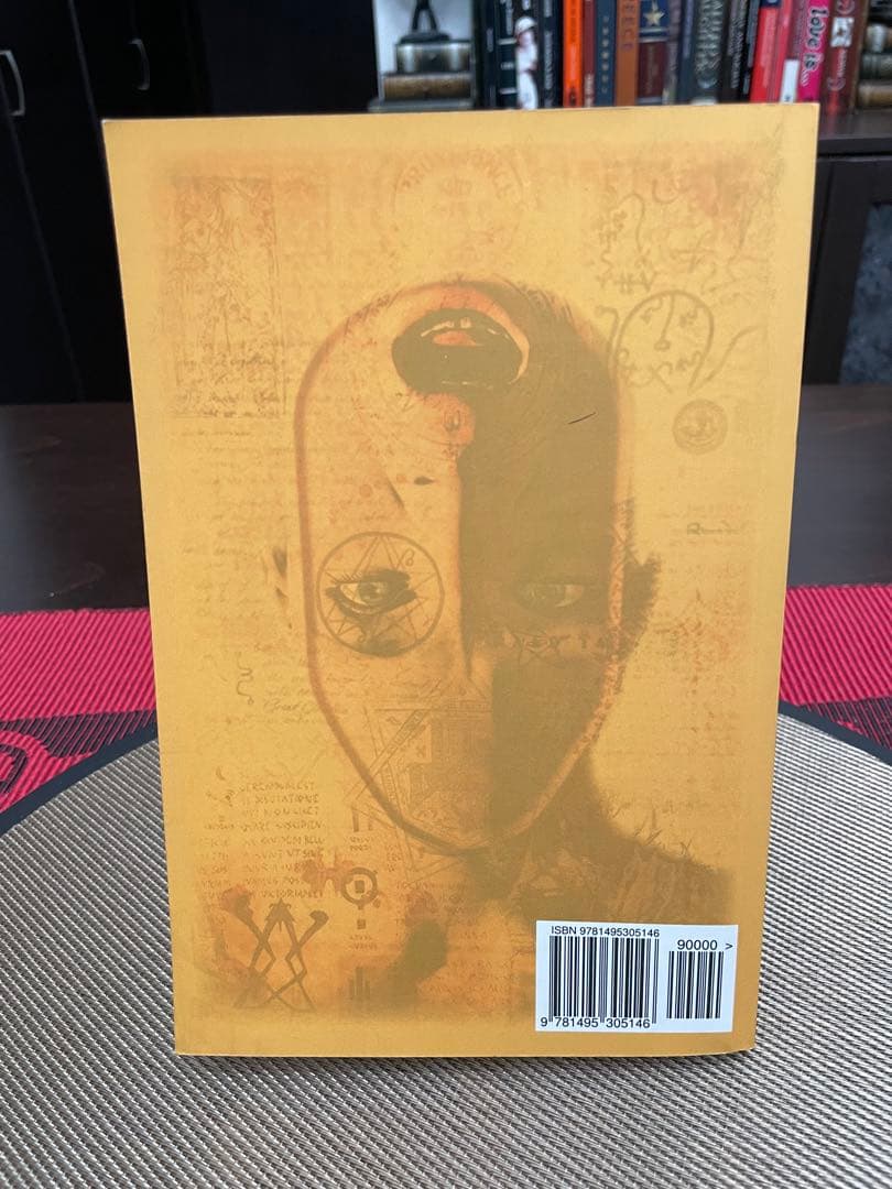 洋書 THE SANITY OF INSANITY by PAUL BRODY