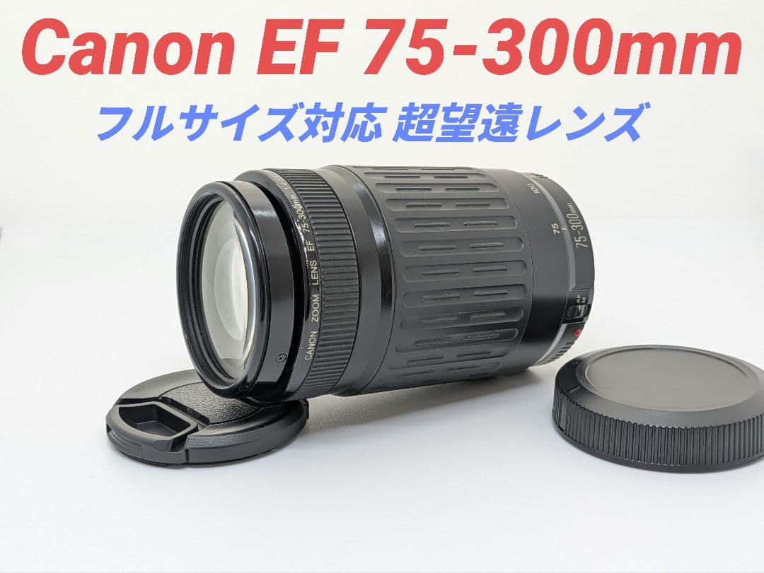 1月11日限定販売♪【超望遠レンズ】Canon EF 75-300mm 楽天市場】【1年保証】キヤノン Canon EF75-300mm F4-5.6 III EF 望遠