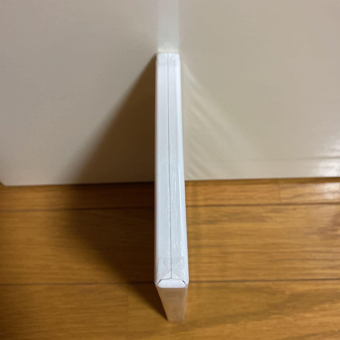 希少新品未開封　アイビィ・ザ・キウィ?