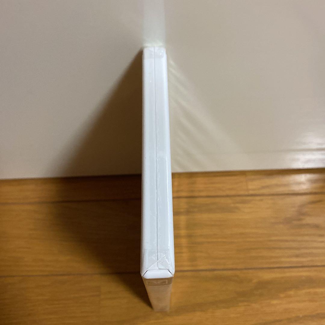 希少新品未開封　アイビィ・ザ・キウィ?