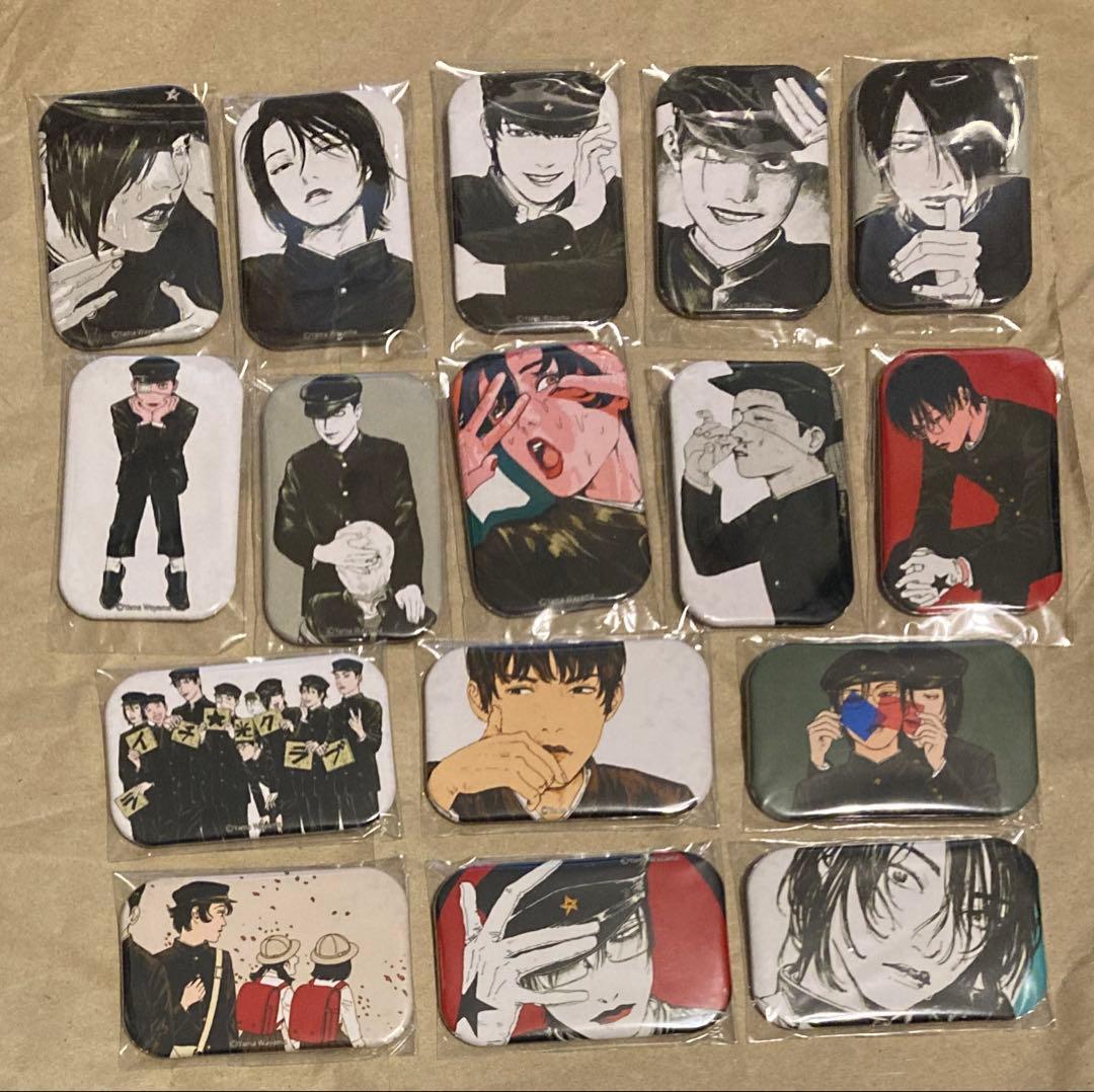 小日向美香のひなたぼっこ。公開イベント 缶バッジ 9個セット