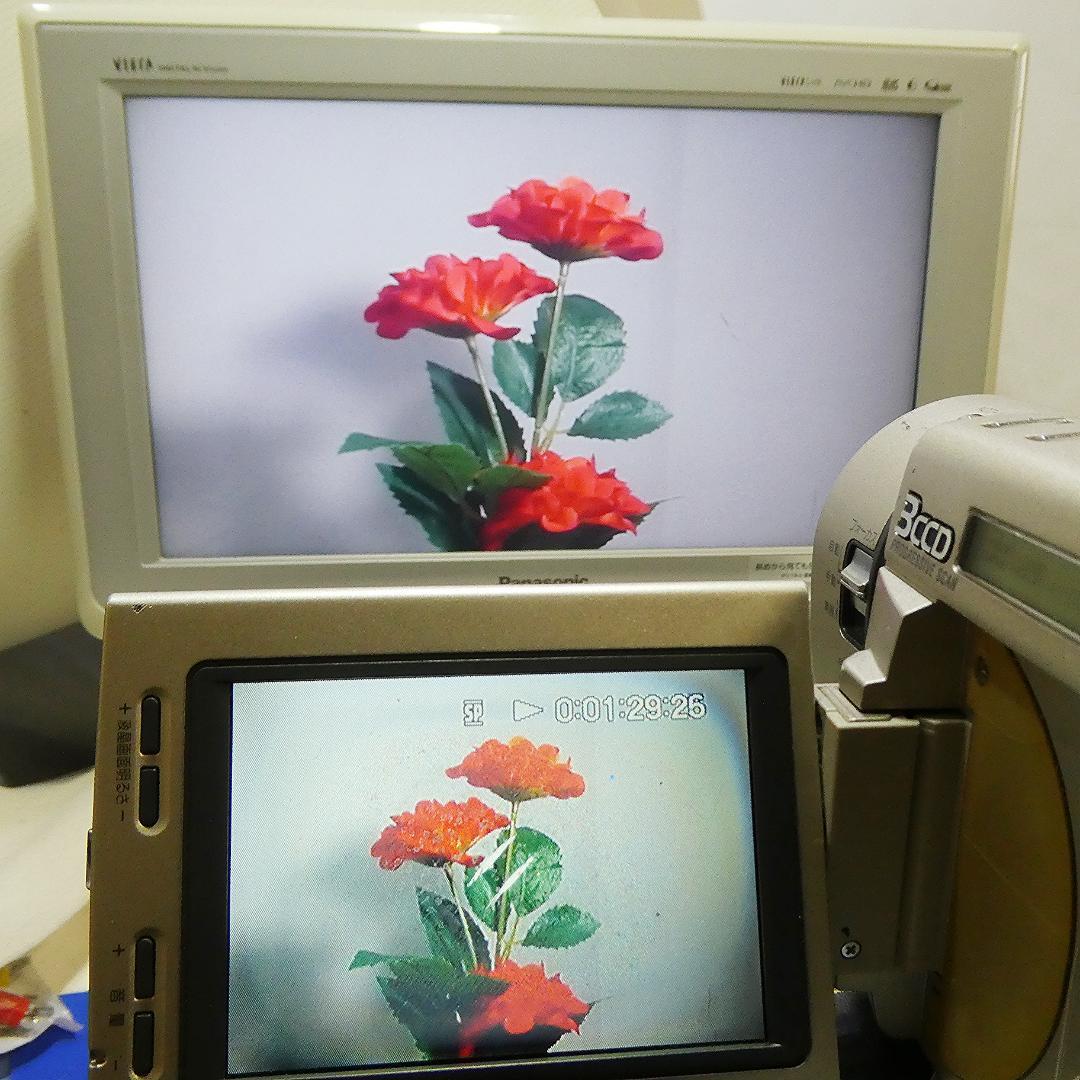 ソニーDCR-TRV900動作良好 MiniDVビデオカメラDVDダビングに最適