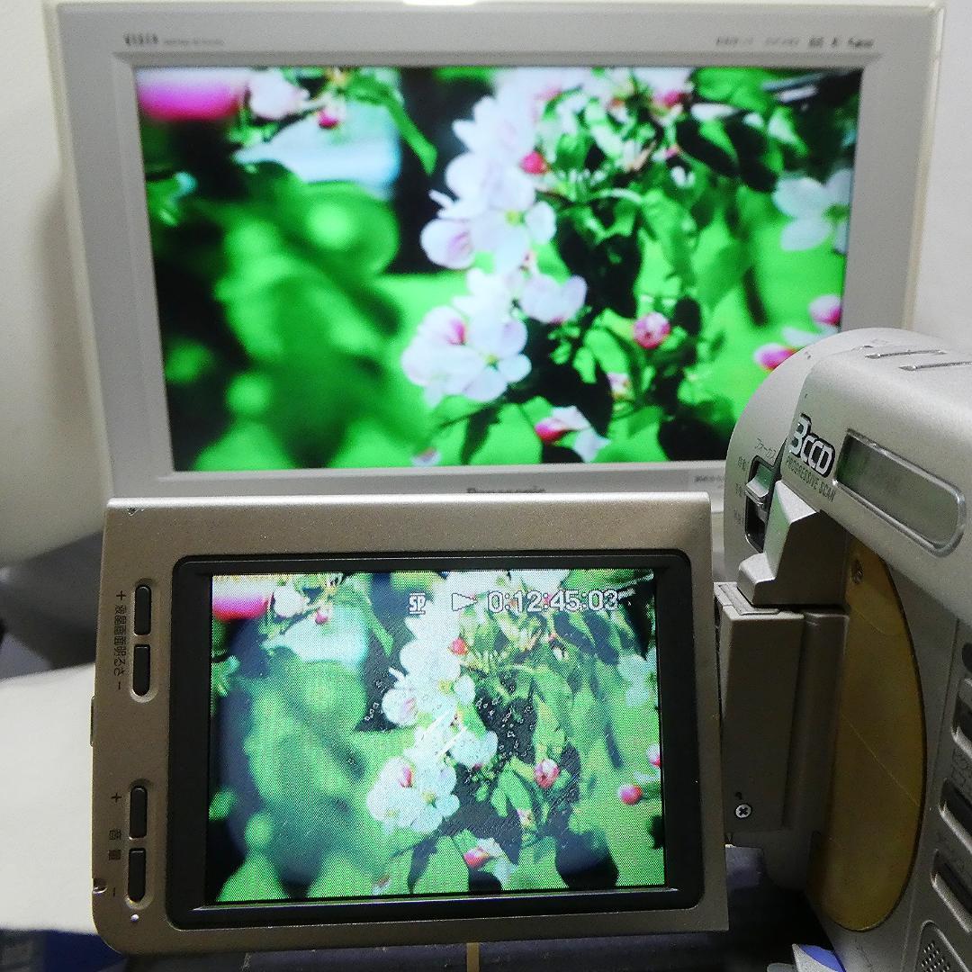 ソニーDCR-TRV900動作良好 MiniDVビデオカメラDVDダビングに最適