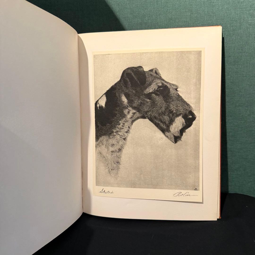 1931年出版 エッチング 犬 BERT COBB アメリカ - アート・デザイン