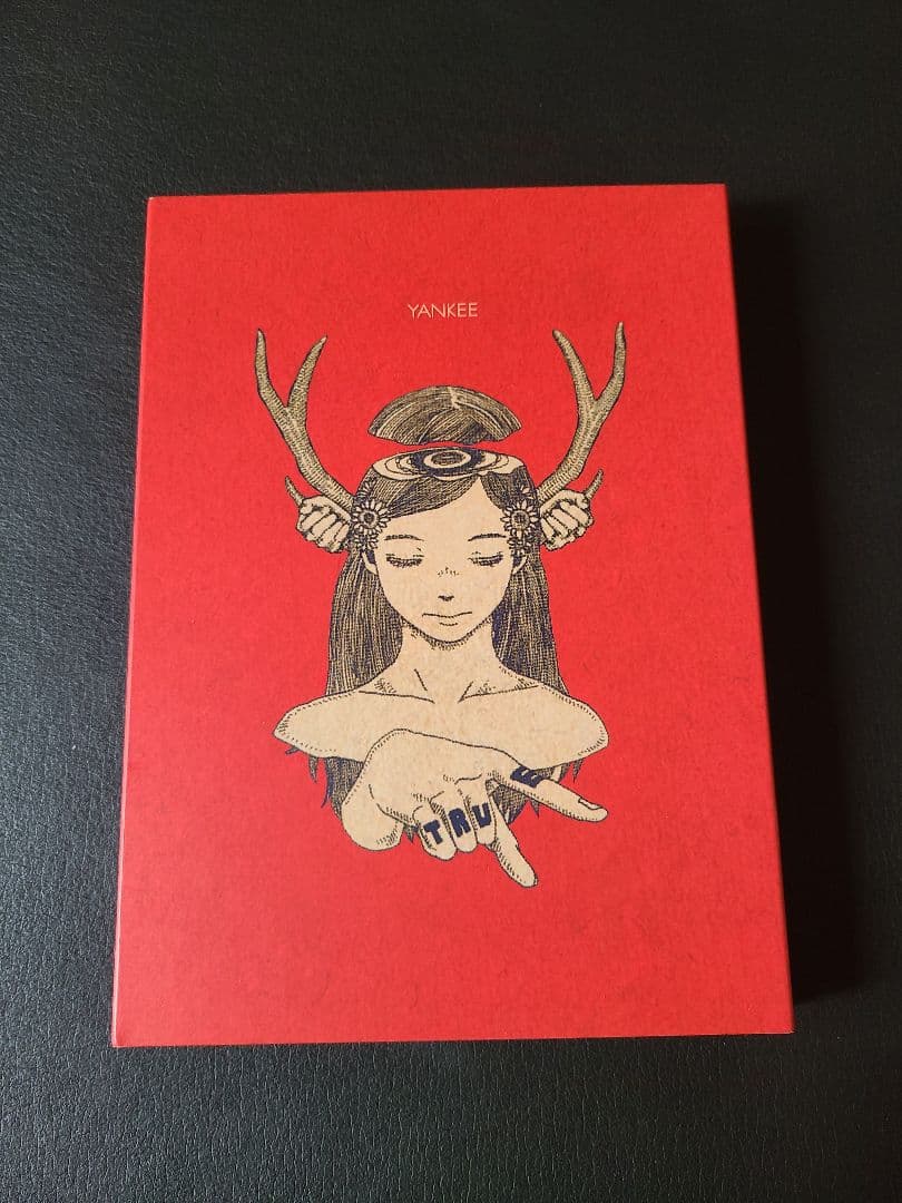 【初回限定盤】米津玄師 YANKEE 画集盤 Amazon.co.jp: YANKEE (初回限定盤)(画集盤): ミュージック