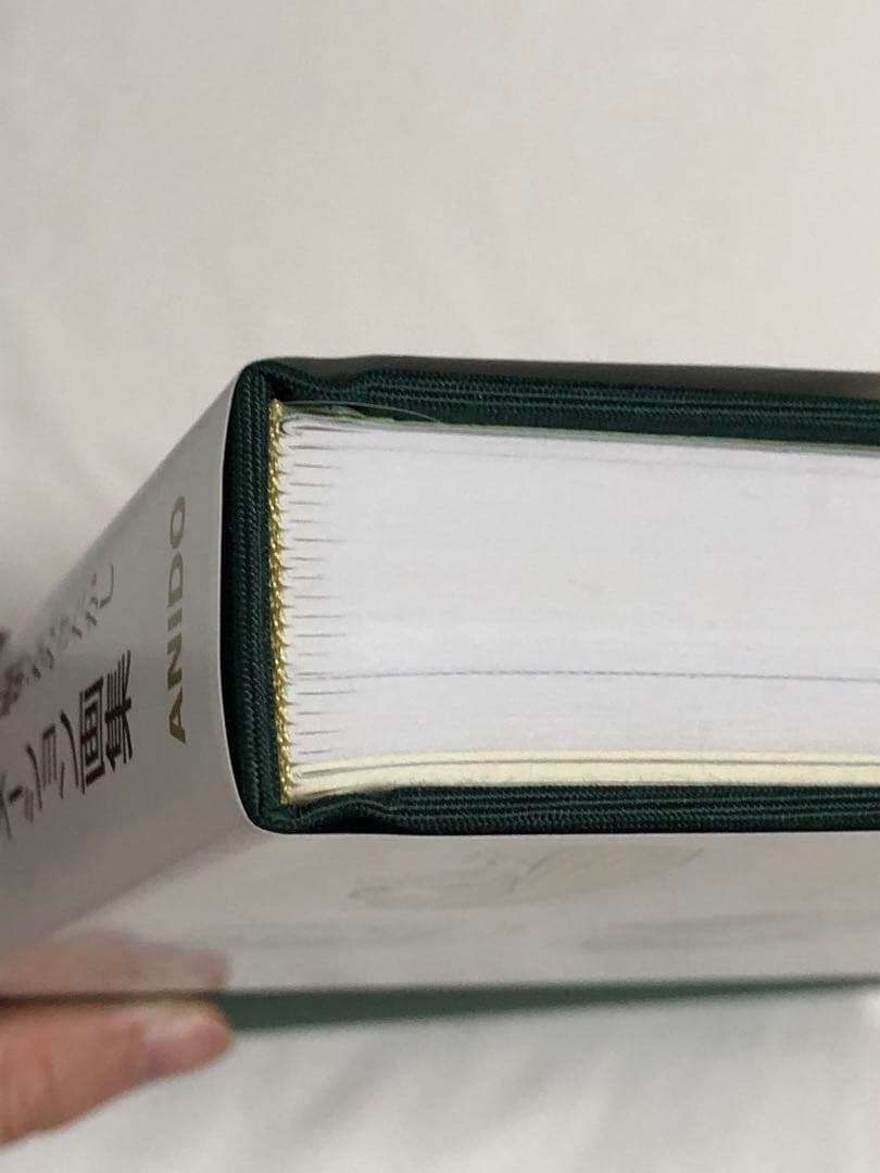 奥山玲子 アニメーション画集 アニドウ 宮崎駿 高畑勲 ジブリ