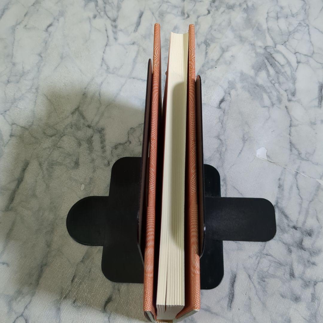 脳の迷路の冒険 安井武著