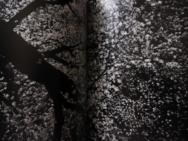 ANGO 森山大道 Daido Moriyama 直筆サイン入り - メルカリ