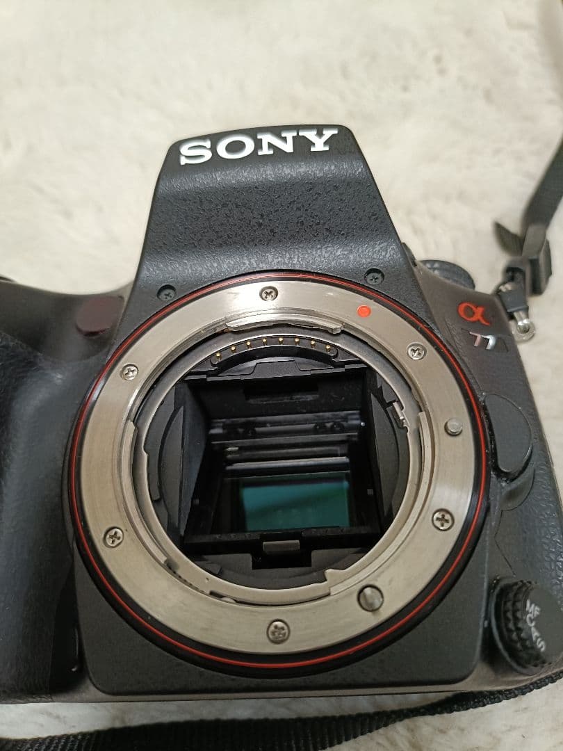 美品SONY α77+DT16-105mmf3.5-5.6