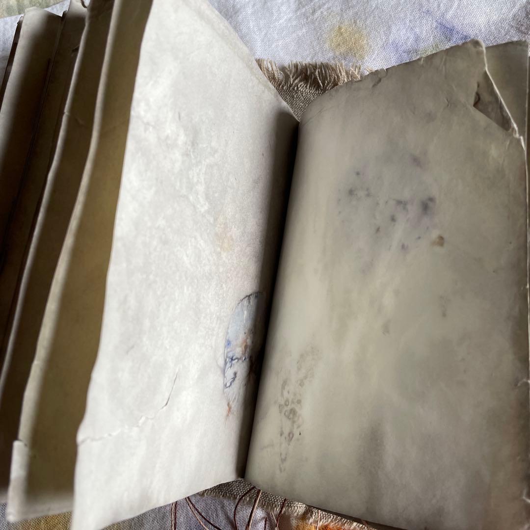 7月20日 ぱおら様2冊 「花ゲリラの本」 「襤褸の本