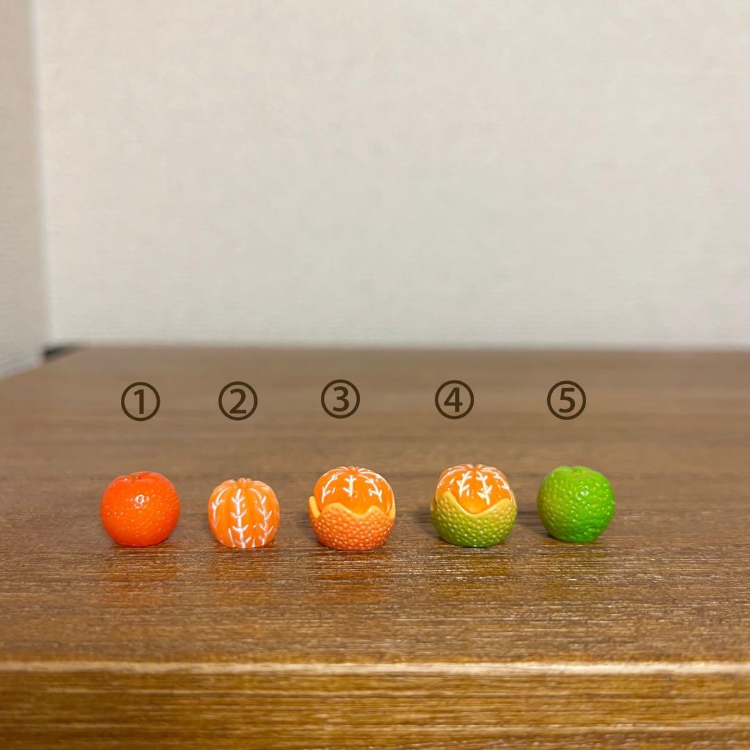 No.1597　選べるみかん　ミニチュア　デコパーツ No.1597 選べるみかん ミニチュア デコパーツ
