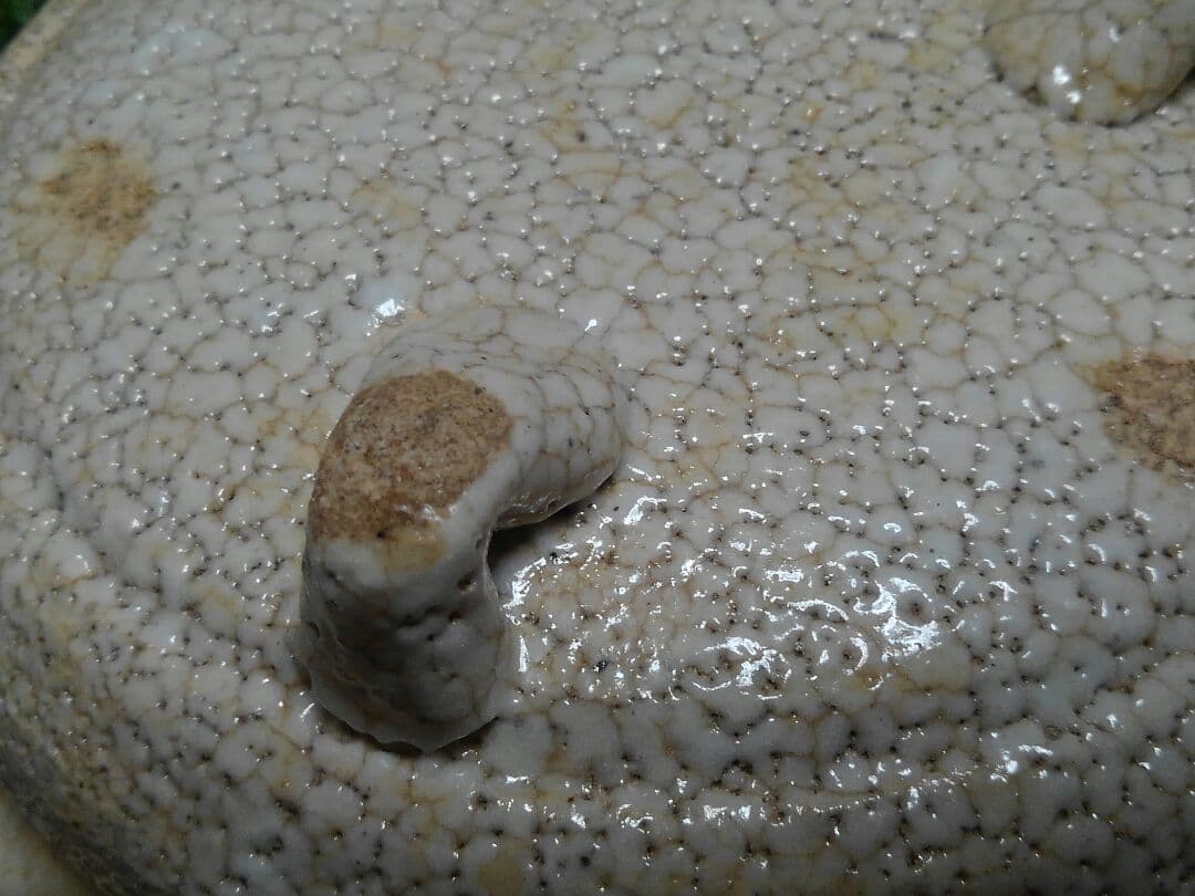 ♥美濃焼 志野 鉢 桐箱付き 志野織部 骨董品 - メルカリ