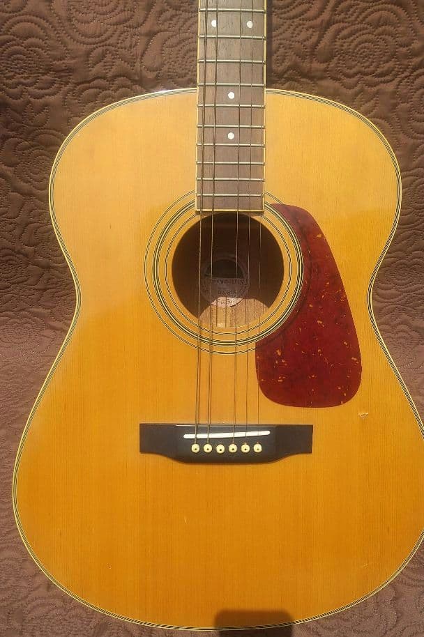 モーリス Morris MF-251N アコースティックギター - メルカリ