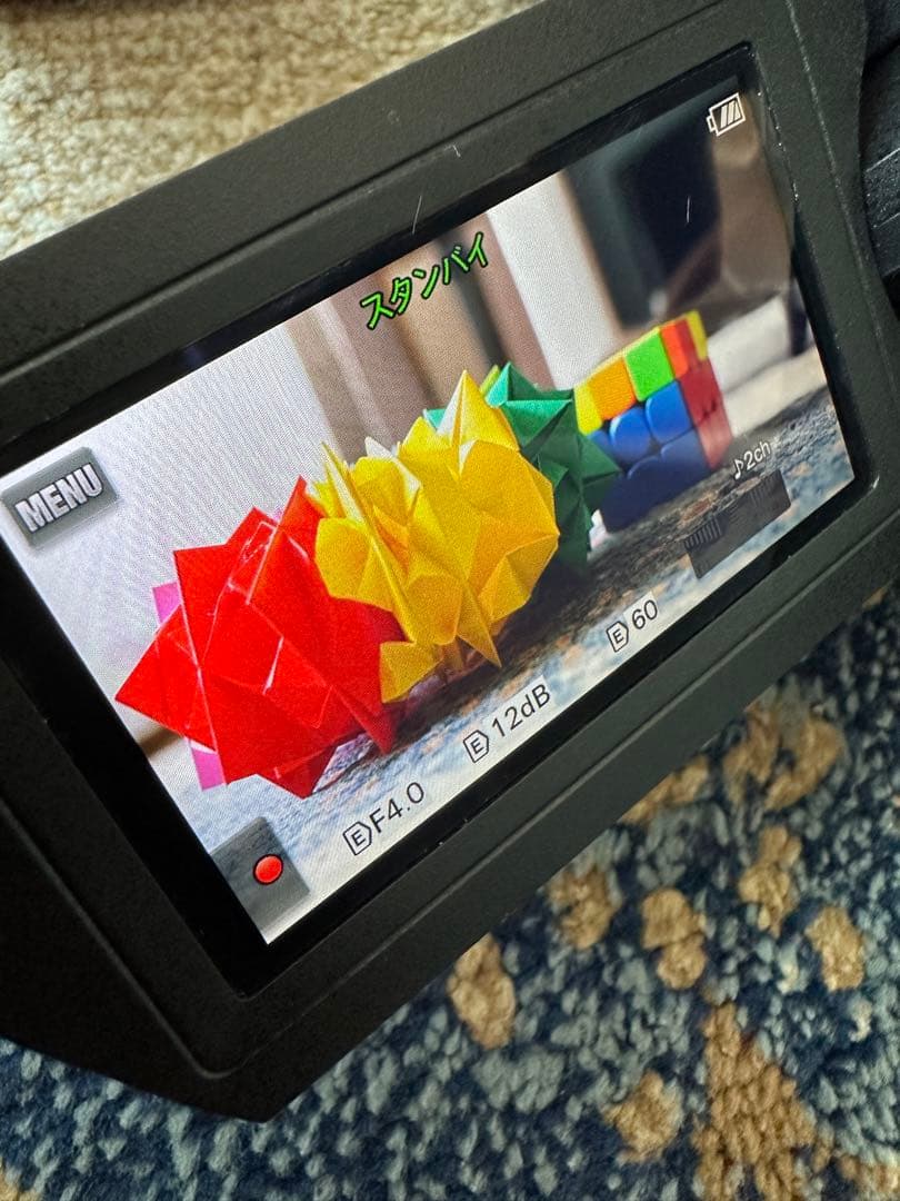 【動作品】SONY NEX-VG20 + E18-200mm F3.5-6.3