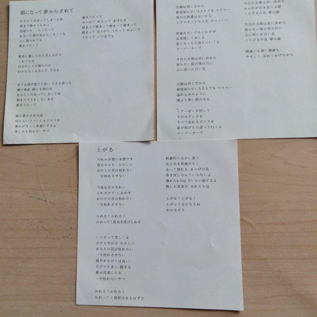 kanekoayano hug CDと写真セット