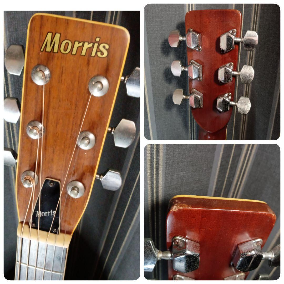常田大希使用モデル morrisアコギ F-20 ギター KingGnu - メルカリ