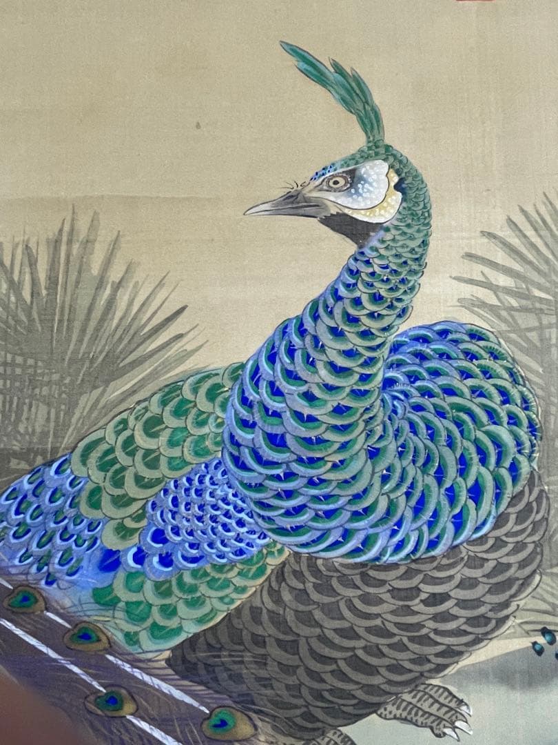 日本画 熊斐銘 孔雀図 掛軸 肉筆 絹本 時代箱付 古美術 4C06-11 - メルカリ