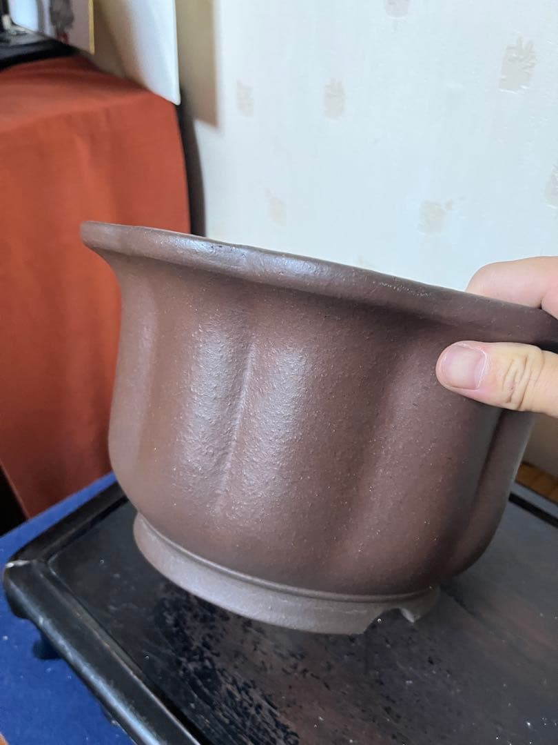 481 盆栽 盆栽鉢 植木鉢 和鉢 山秋