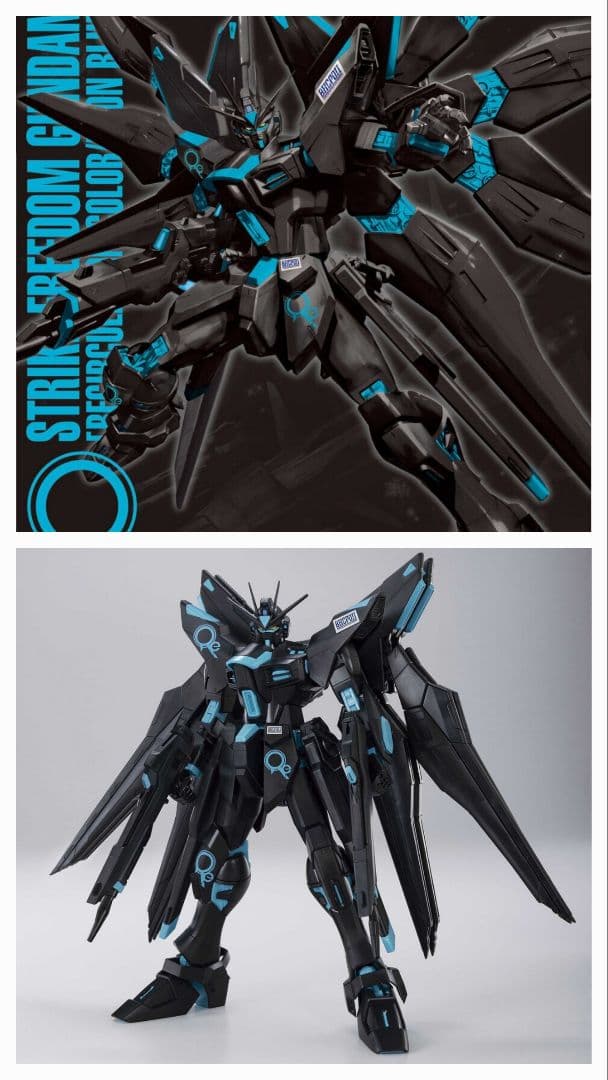 MG ストライクフリーダムガンダム リサーキュレーションカラー BHCPDII