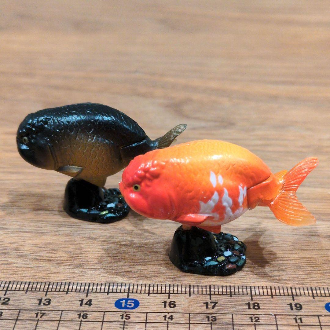 海洋堂 チョコQ チョコエッグ ランチュウ 金魚 - メルカリ