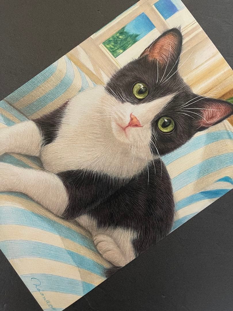 色鉛筆画 A4 ハチワレ猫130