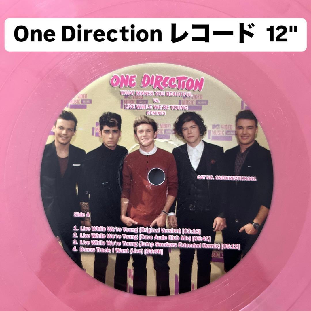 ★ ピンクカラー盤 レコード 12\" Karnage – Moments of Fleeting Existence 12″ | レコードプレス