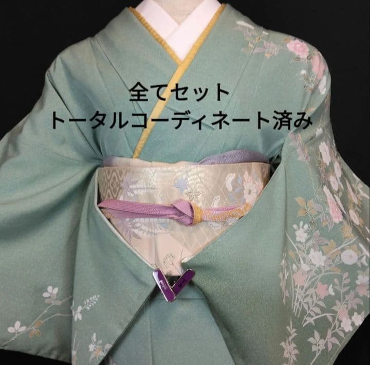 №384 入学式 七五三 躾付き 友禅正絹 訪問着フルセット 正絹長襦袢付き