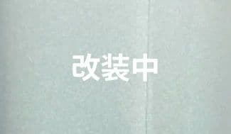 №384 入学式 七五三 躾付き 友禅正絹 訪問着フルセット 正絹長襦袢付き