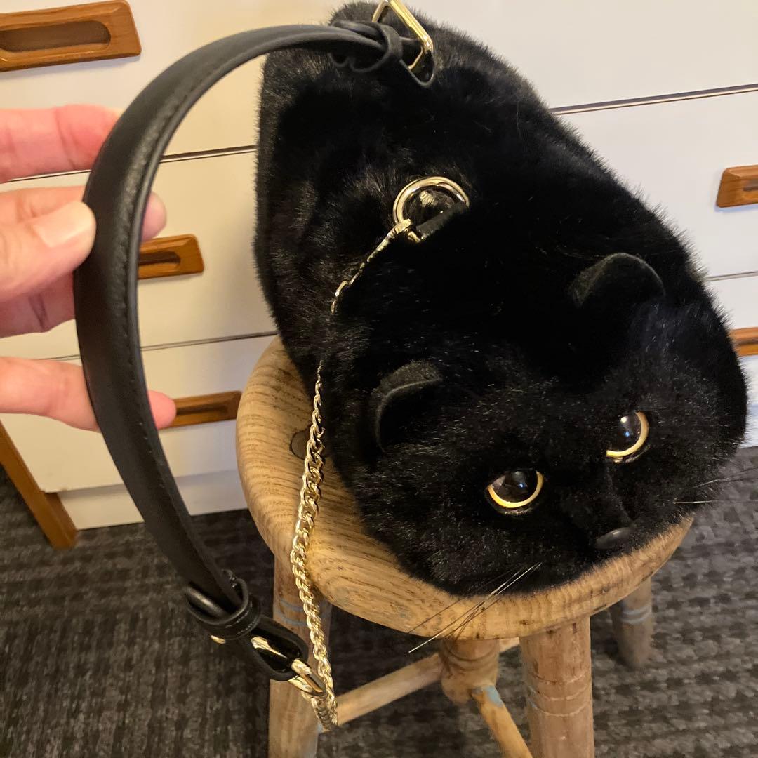 後藤専用❁⃘*.゜