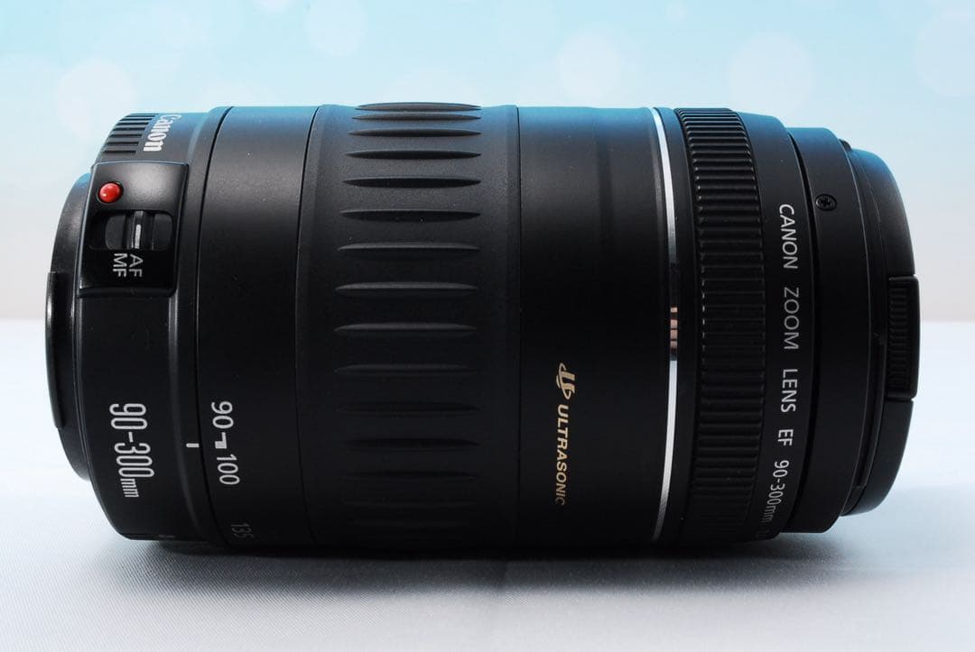 Canon EF 90-300mm F4.5-5.6 USM キャノン 超望遠