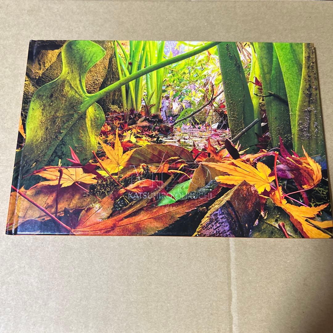 MIZO 大口勝弘 KATSUHIRO OHKUCHI うたかた堂 写真集 - メルカリ