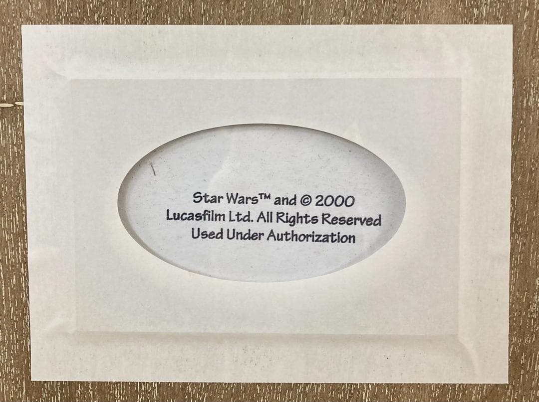 ☆証明書・直筆サイン入り☆ ドゥルー ストゥルーザン絵画 スター