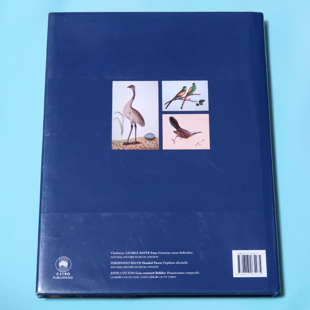 特別価格！ Feather and Brush：オーストラリア鳥類芸術300年