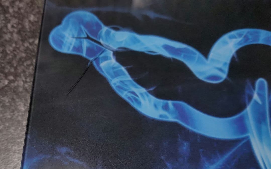 Razer Panthera パンテラ 増設Φ24ボタンカスタム品 - メルカリ