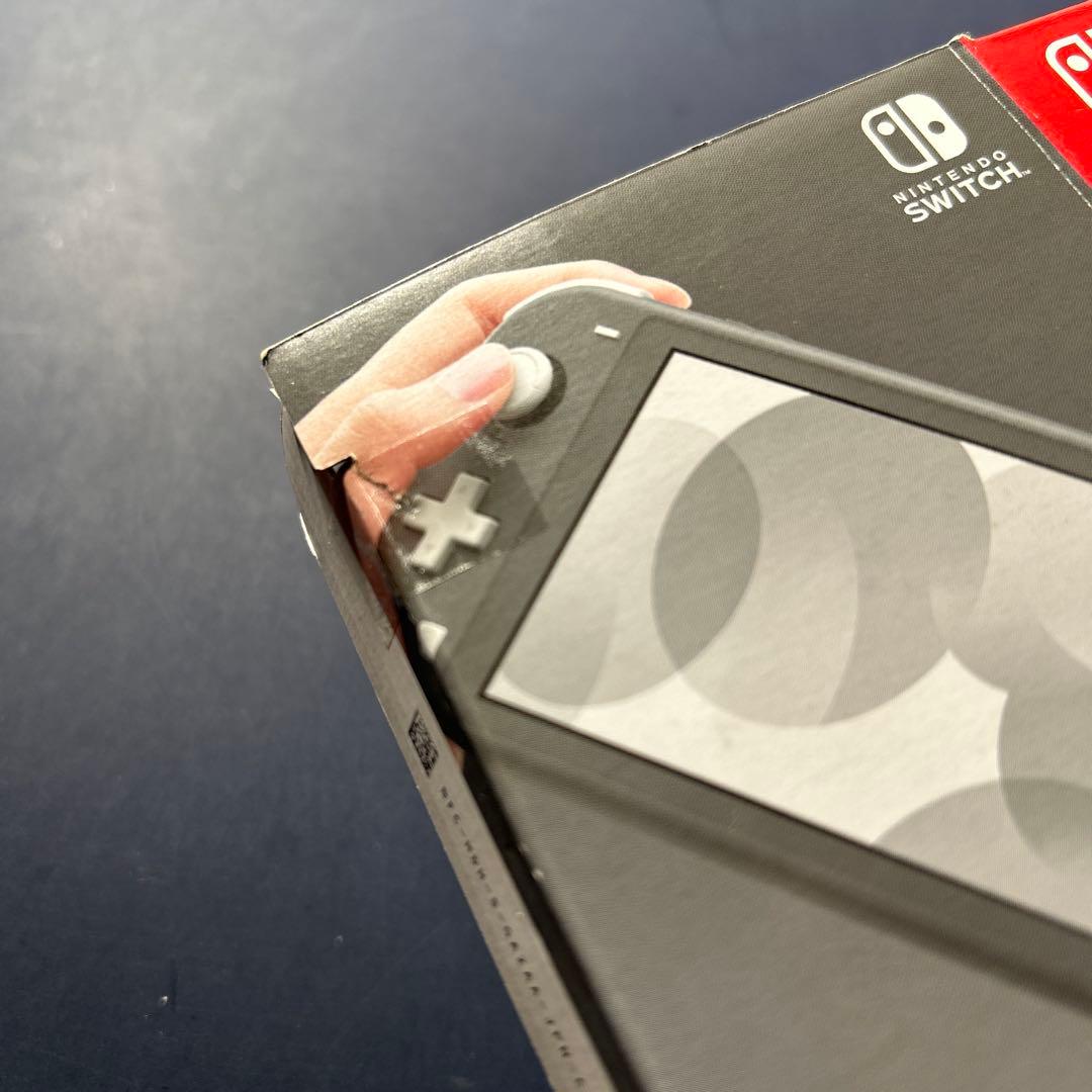 《動作確認済み》Nintendo Switch Lite グレー