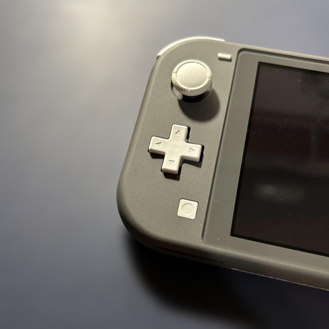 《動作確認済み》Nintendo Switch Lite グレー