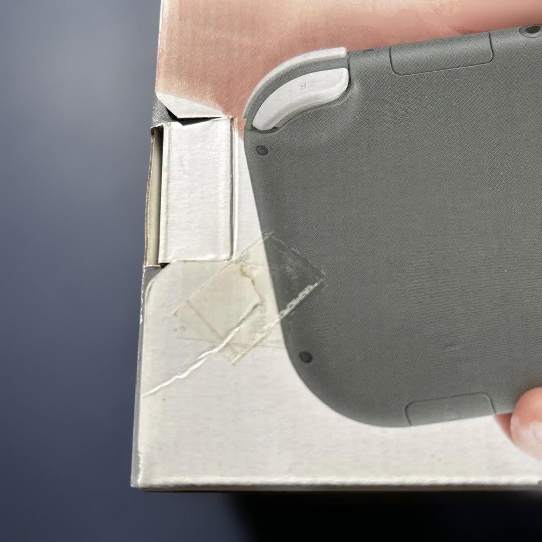 《動作確認済み》Nintendo Switch Lite グレー