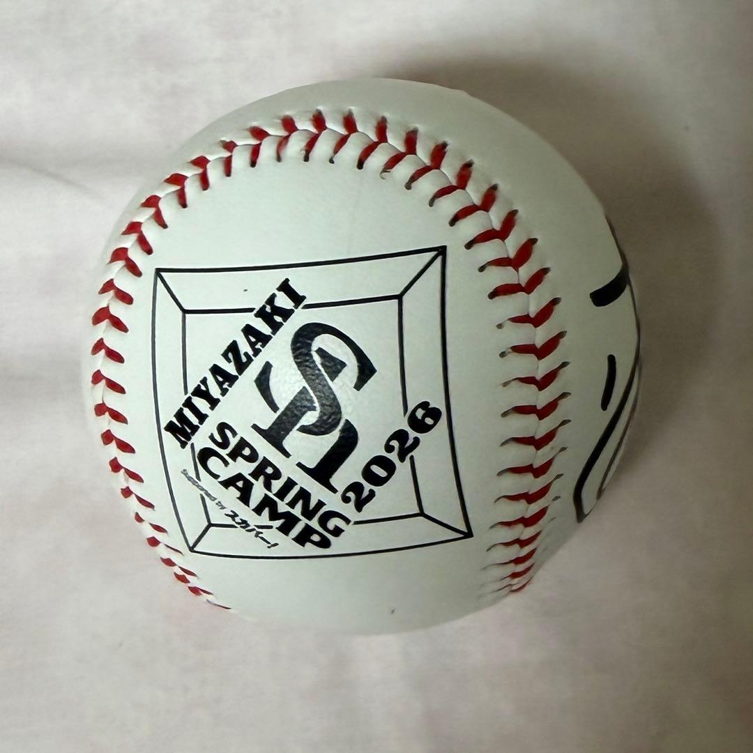 福岡ソフトバンクホークス 徐若熙 直筆サインボール 宮崎限定 - メルカリ