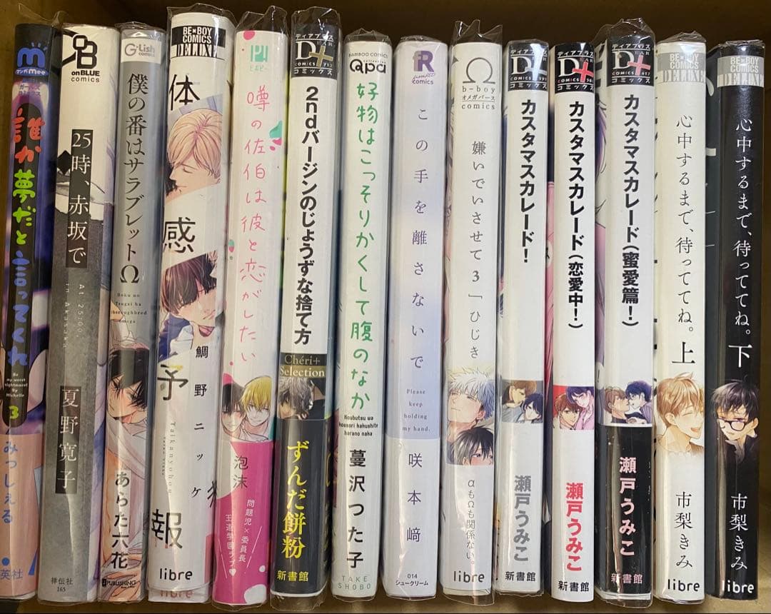 BL BL本 まとめ売り