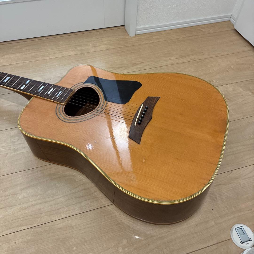 激レア！TF モーリス MORRIS W-621R schallerペグです