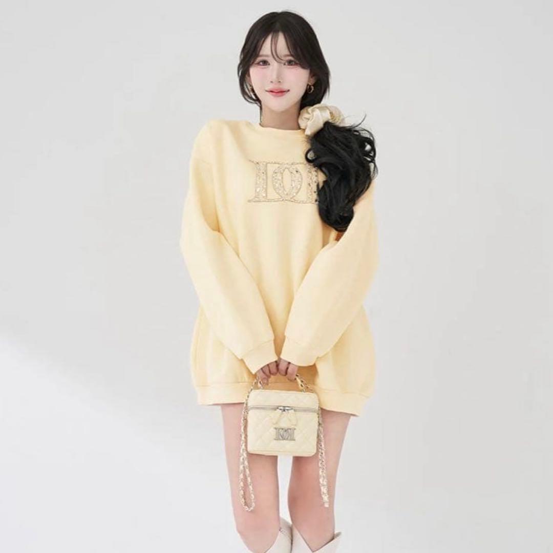 Darich ダーリッチ DDロゴビジュースウェットプルオーバー黄色Free