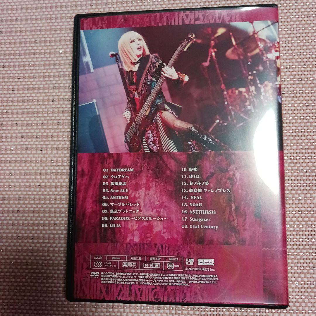 Royz　DAYDREAM　マルチアングルDVD　公大Ver　新品
