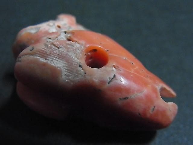 ☆K2105☆ 古代石(126) 大粒 珊瑚 ビーズ 神獣 護符 アミュレット