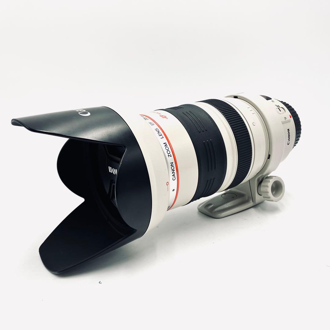 レンズ(ズーム) Canon EF 35-350mm F3.5-5.6 L USM