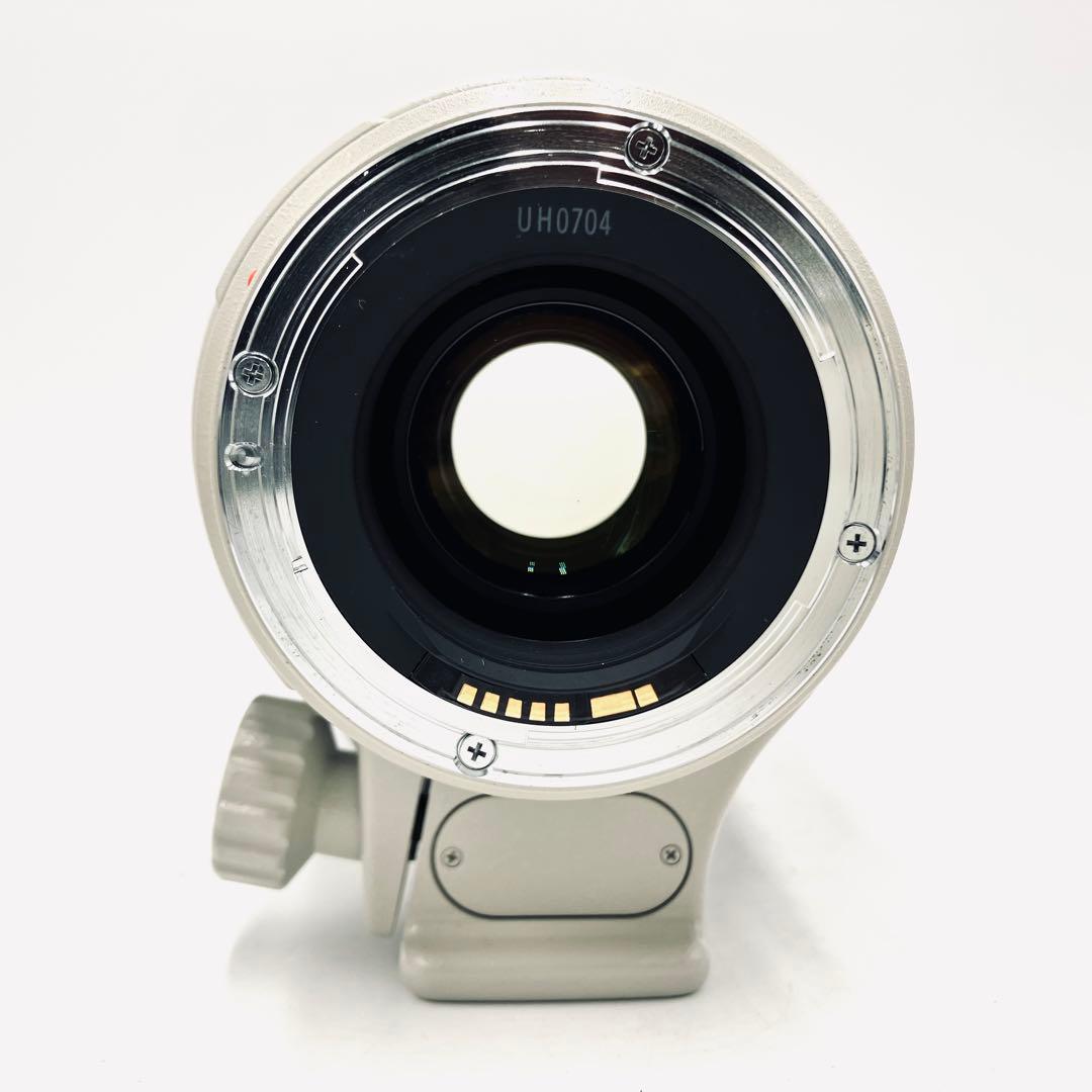 レンズ(ズーム) Canon EF 35-350mm F3.5-5.6 L USM