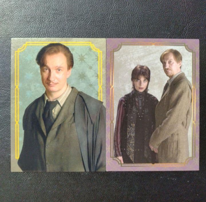 ハリーポッター トレカ RJルーピン先生 カード panini - メルカリ