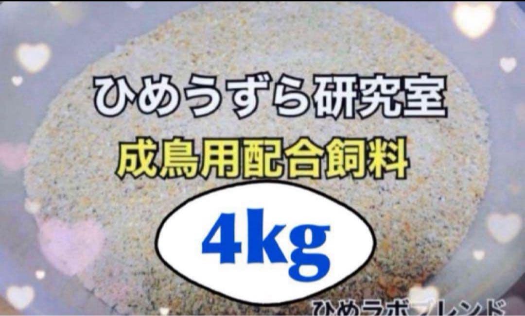 ひめうずら研究室 成鳥用配合飼料 4kg 鳥 餌 ヒメウズラ ひめうずら研究室 成鳥用配合飼料 4kg 鳥 餌 ヒメウズラ - メルカリ