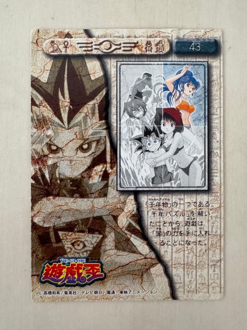 遊戯王】野坂ミホ 東映版 トレーディングコレクション 水着 - メルカリ