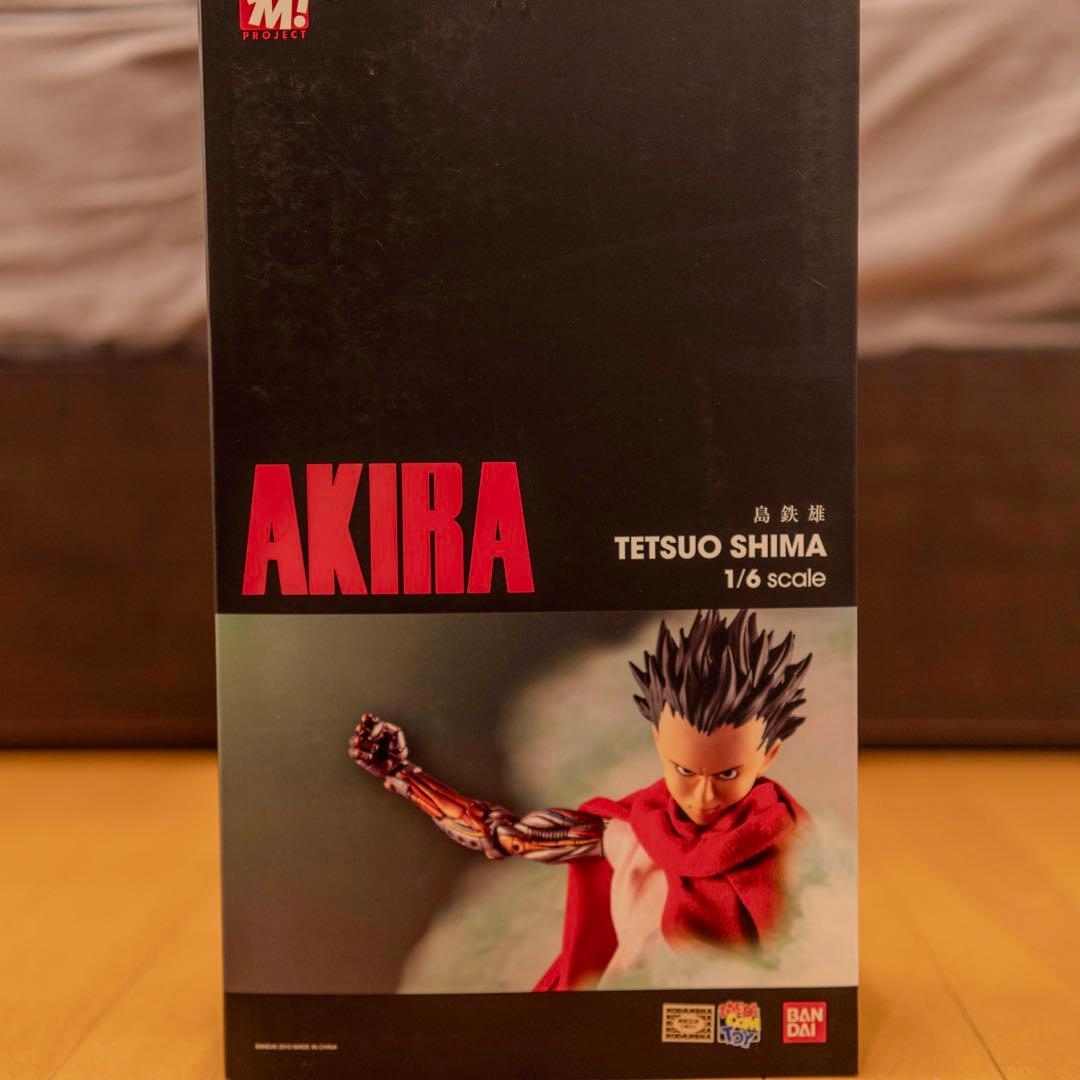 PROJECT BM島鉄雄 1/6 AKIRA アキラ RAH - メルカリ