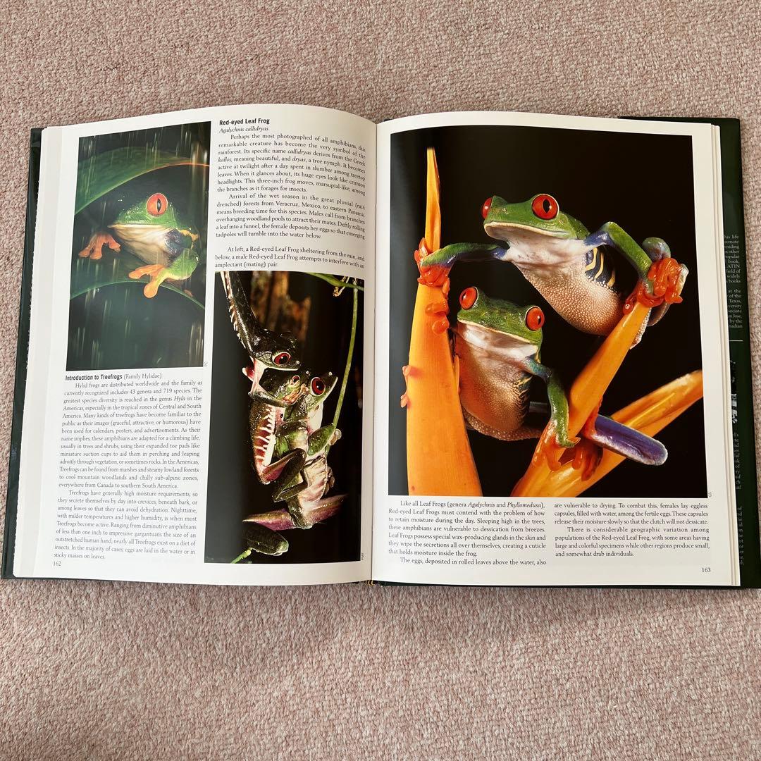 洋書 Reptiles & Amphibians 爬虫類、両生類 - メルカリ